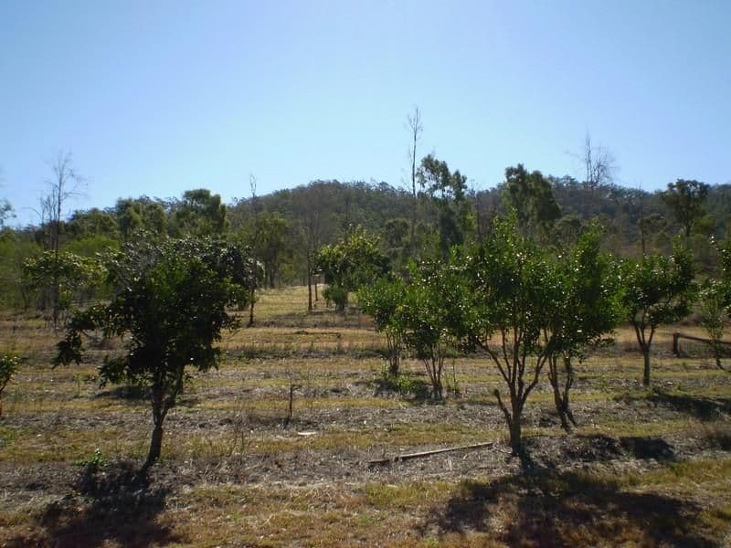 GIN GIN QLD 4671, Gin Gin - Thumbnail 6