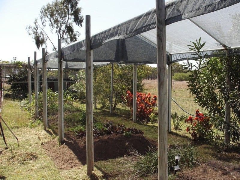 65946 Bruce Highway, CANOONA QLD 4702, Canoona - Thumbnail 3