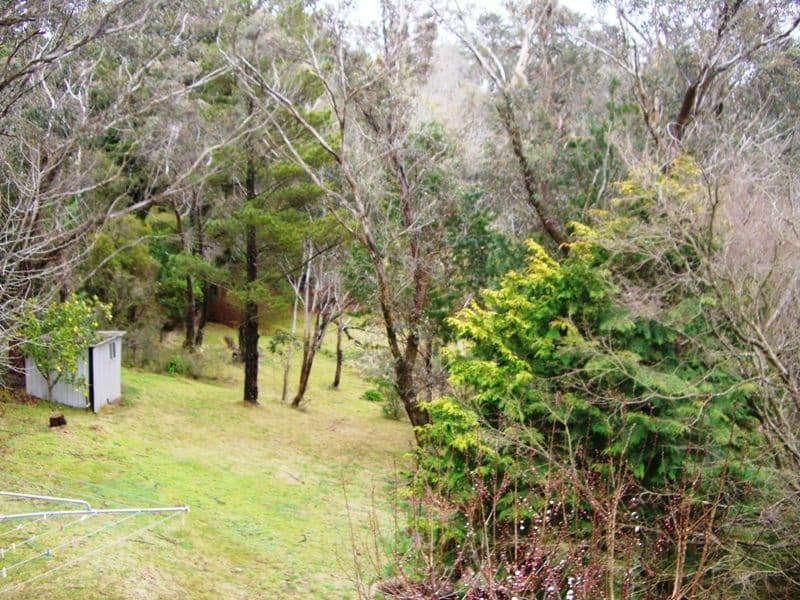 92 Mount Hay Road, LEURA NSW 2780, Leura - Thumbnail 4