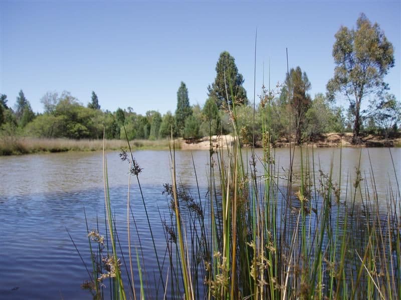 10R Lagoon Creek Road, DUBBO NSW 2830, Dubbo - Thumbnail 3