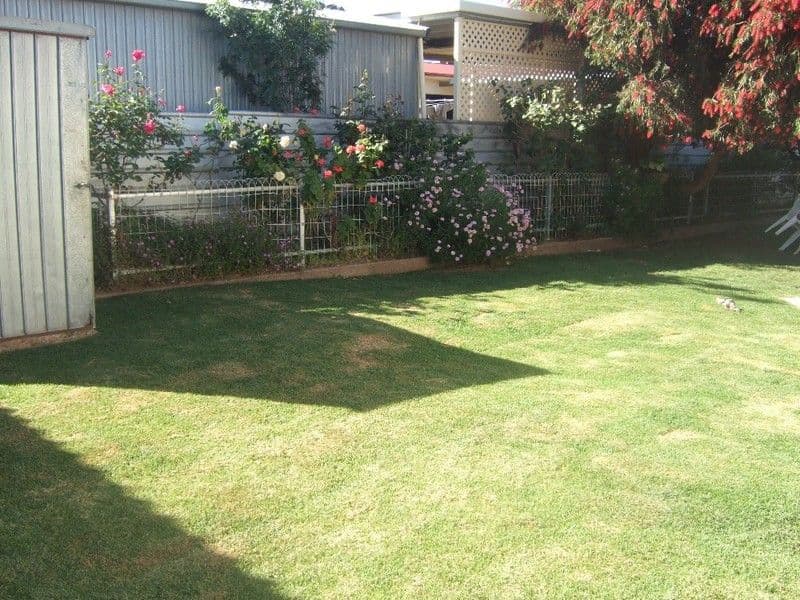 231 Hall Street, BROKEN HILL NSW 2880, Broken Hill - Thumbnail 7
