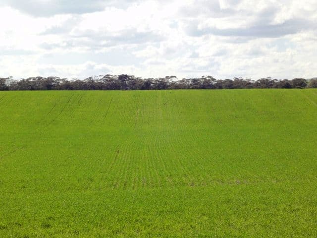 NANTAWARRA SA 5550, Nantawarra - Thumbnail 3