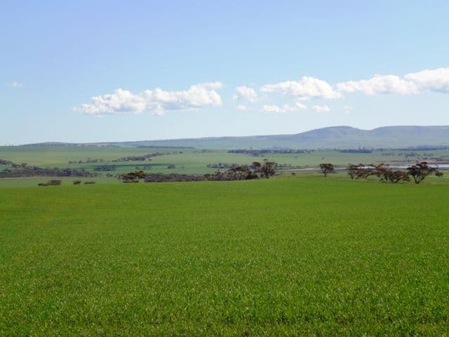NANTAWARRA SA 5550, Nantawarra - Thumbnail 6