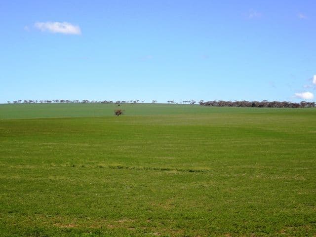 NANTAWARRA SA 5550, Nantawarra - Thumbnail 8