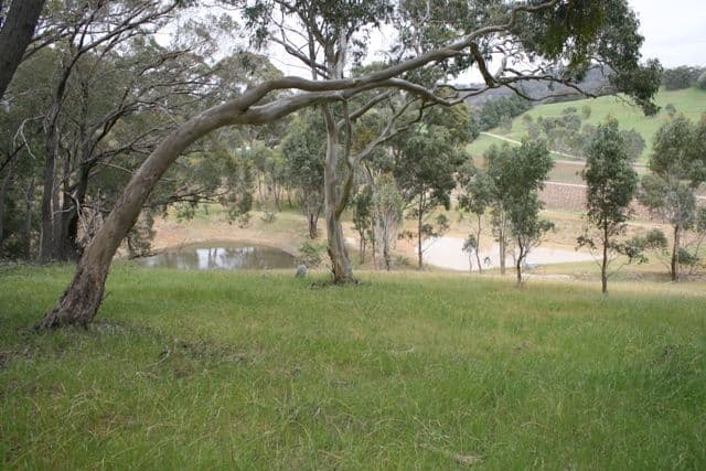 PENWORTHAM SA 5453, Penwortham - Thumbnail 4