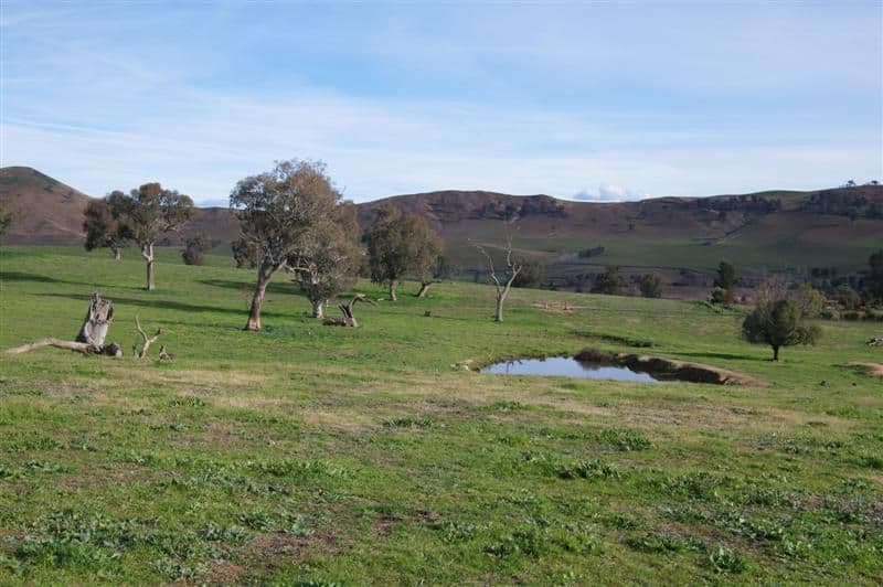 ''Bald Hill", TOOMA NSW 2642, Tooma - Thumbnail 2