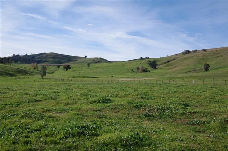 ''Bald Hill", TOOMA NSW 2642, Tooma - Thumbnail 3