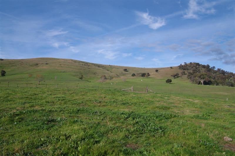 ''Bald Hill", TOOMA NSW 2642, Tooma - Thumbnail 4