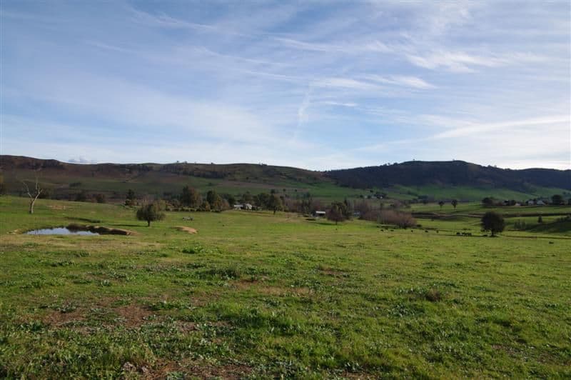 ''Bald Hill", TOOMA NSW 2642, Tooma - Thumbnail 5