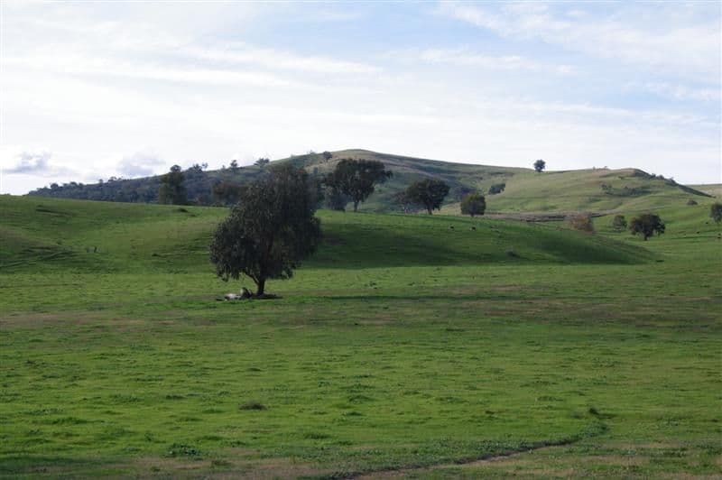 ''Bald Hill", TOOMA NSW 2642, Tooma - Thumbnail 7