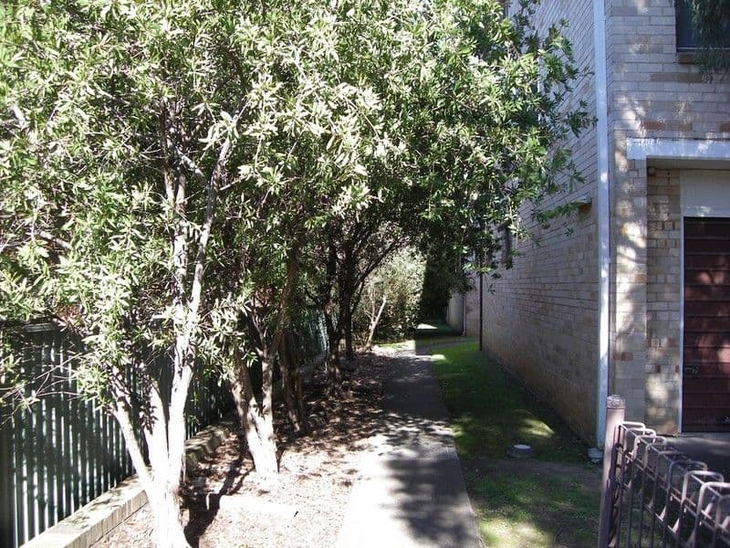 19-25 Pile Street, MARRICKVILLE NSW 2204, Marrickville - Thumbnail 2