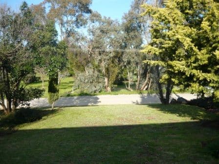577 Norris Street, LAVINGTON NSW 2641, Lavington - Thumbnail 5