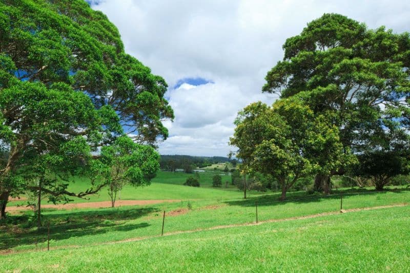 34 Flesser Road, REESVILLE QLD 4552, Reesville - Thumbnail 2