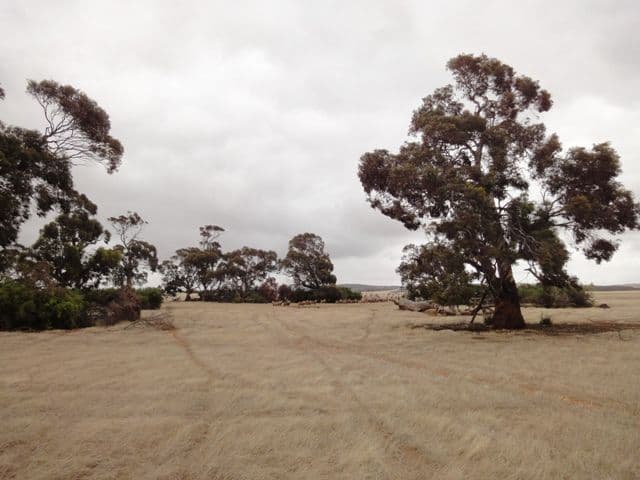 "Noske's"  Neindorf Road, ROBERTSTOWN SA 5381, Robertstown - Thumbnail 4