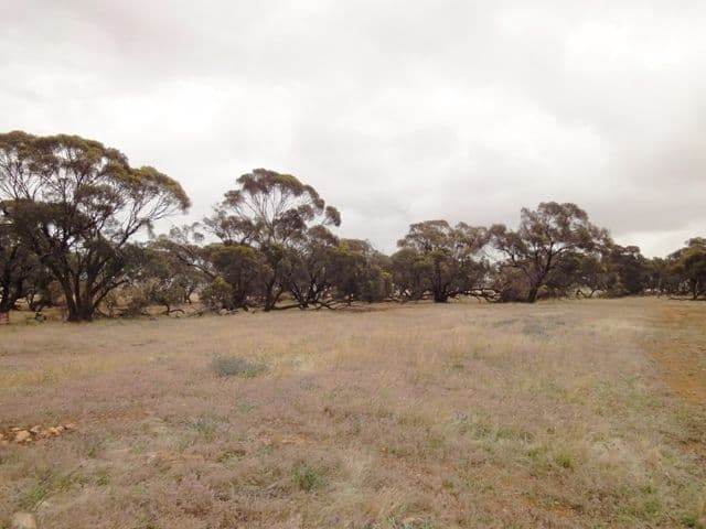 "Noske's"  Neindorf Road, ROBERTSTOWN SA 5381, Robertstown - Thumbnail 5