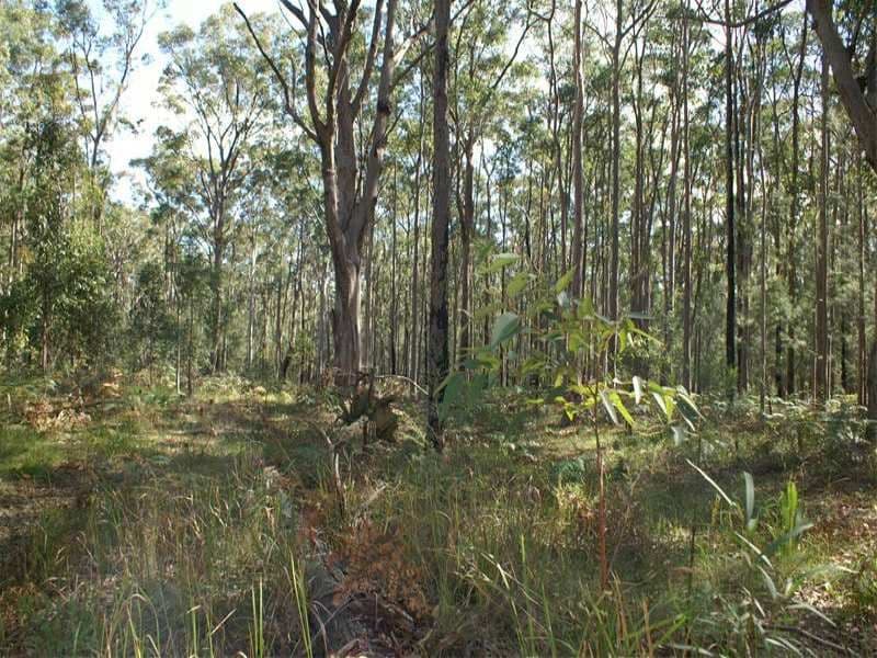 FERODALE NSW 2318, Ferodale - Thumbnail 7