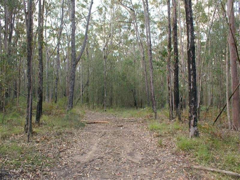 FERODALE NSW 2318, Ferodale - Thumbnail 3