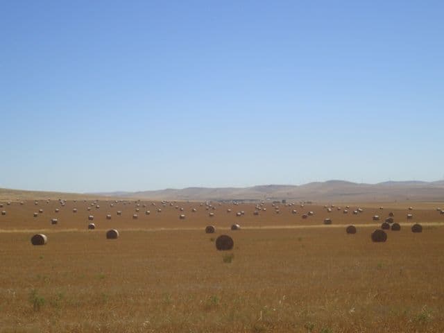 "Hugh's" Stock Route Road, HALLETT SA 5419, Hallett - Thumbnail 3