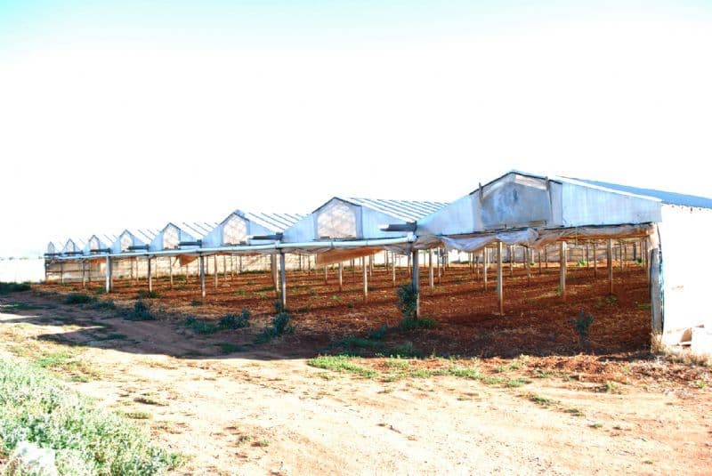 Lot 4  Womma Road, PENFIELD SA 5121, Penfield - Thumbnail 5