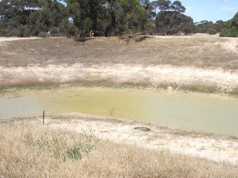 00  Red Bluff Road, BORDERTOWN SA 5268, Bordertown - Thumbnail 2
