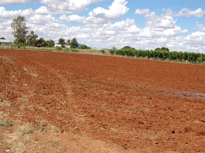 Farm 2252 Leeton-yenda Road, YENDA NSW 2681, Yenda - Thumbnail 6