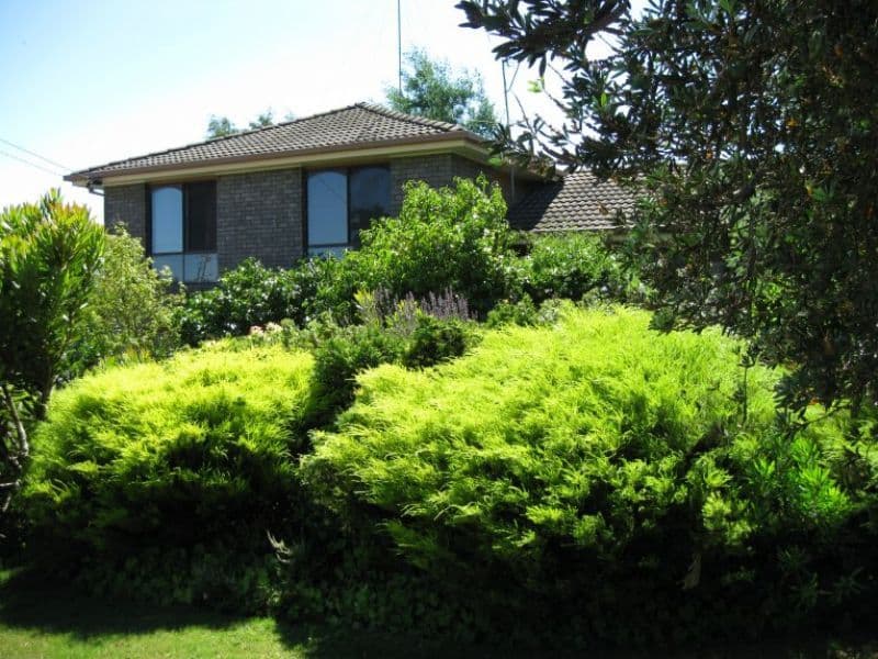 24 Foote Street, HADSPEN TAS 7290, Hadspen - Image 1