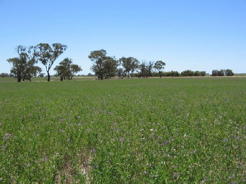 Sec. 75 Senior Road, BORDERTOWN SA 5268, Bordertown - Image 1