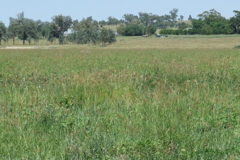 WARIALDA NSW 2402, Warialda - Thumbnail 4