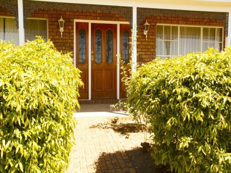 25 The Esplanade, MANNUM SA 5238, Mannum - Thumbnail 3