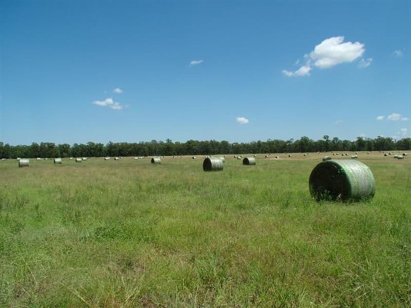 195R Gilgandra Road, DUBBO NSW 2830, Dubbo - Image 1