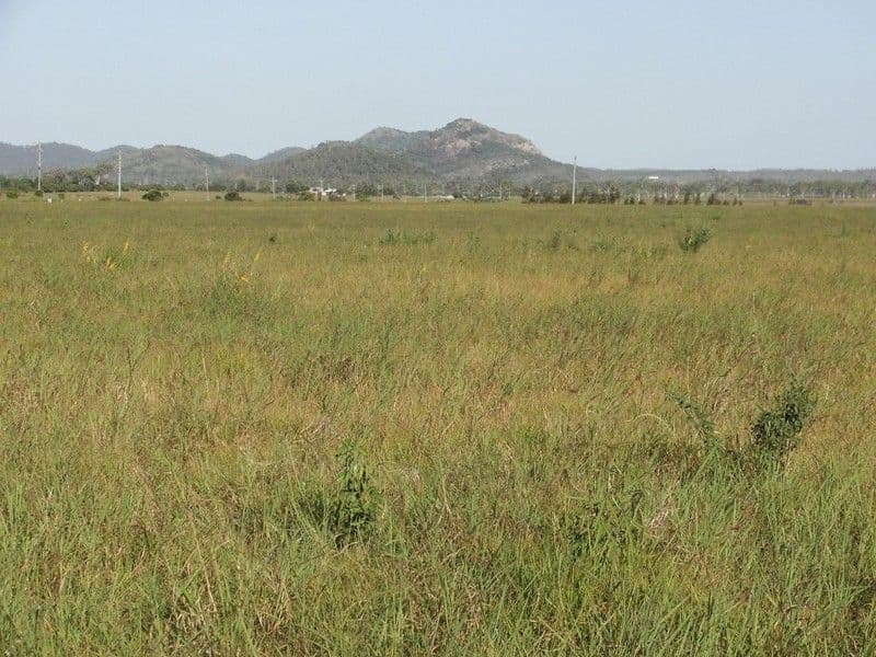 Lot 37 East Barmoya Road, BARMOYA QLD 4703, Barmoya - Thumbnail 2