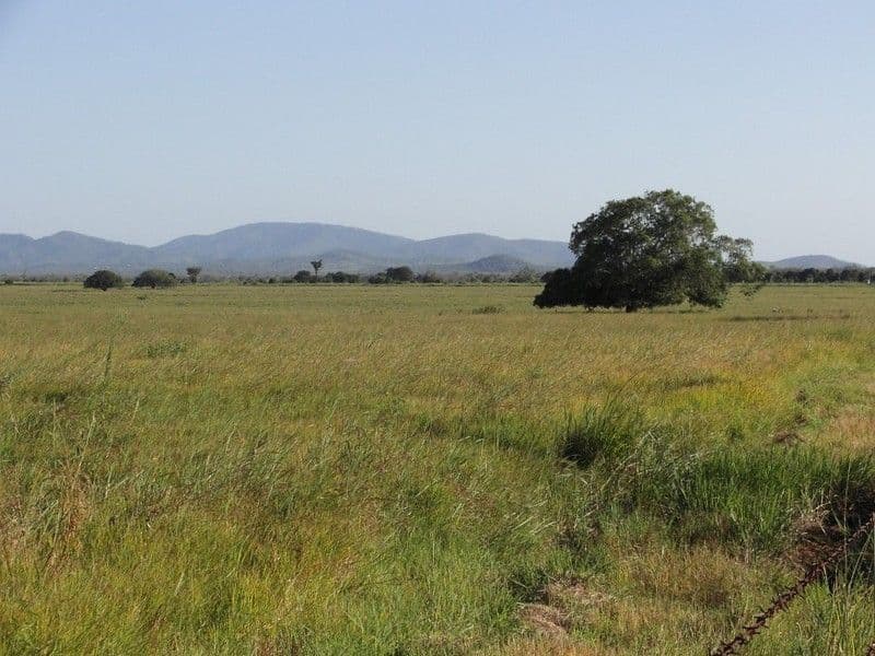 Lot 37 East Barmoya Road, BARMOYA QLD 4703, Barmoya - Thumbnail 4