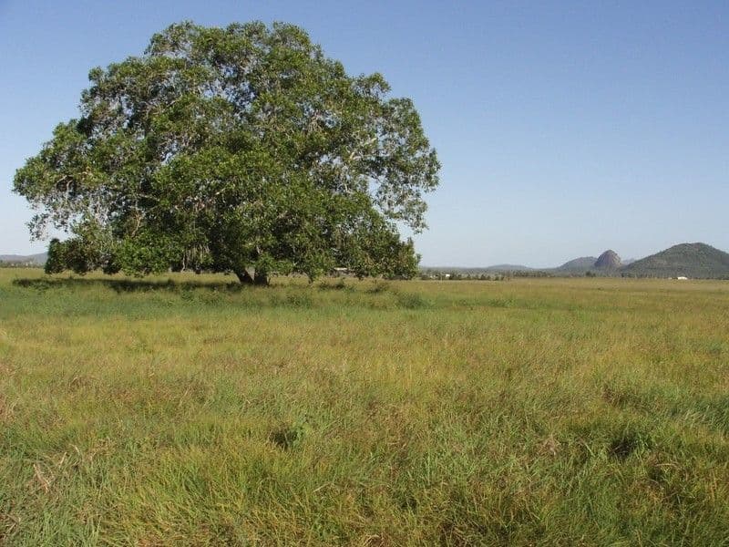 Lot 37 East Barmoya Road, BARMOYA QLD 4703, Barmoya - Image 1