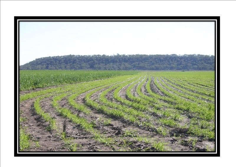 DALBY QLD 4405, Dalby - Thumbnail 3