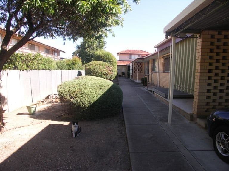 4/62 Ormond Avenue, DAW PARK SA 5041, Daw Park - Thumbnail 2