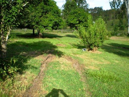 GIN GIN QLD 4671, Gin Gin - Thumbnail 2