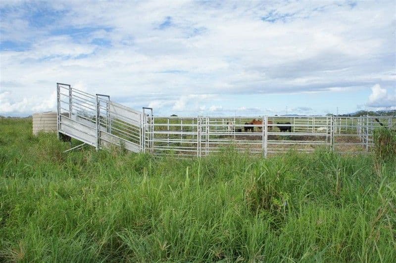 Lot 12 Nine Mile Road, ALTON DOWNS QLD 4702, Alton Downs - Thumbnail 6