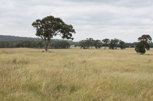 628 Mulloon Road, BUNGENDORE NSW 2621, Bungendore - Thumbnail 6