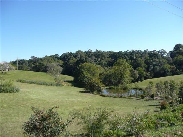 92 William Street, BUDERIM QLD 4556, Buderim - Thumbnail 2