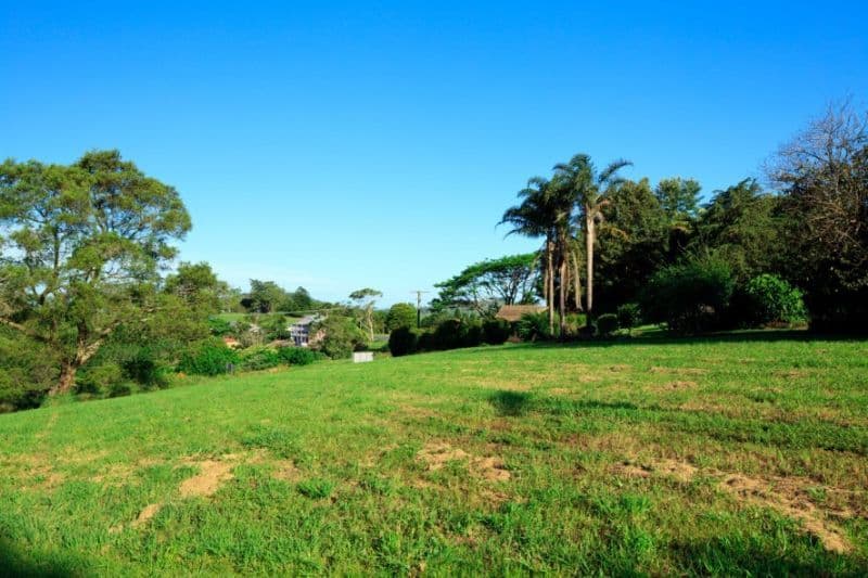 3 Valley View Close, MALENY QLD 4552, Maleny - Thumbnail 5
