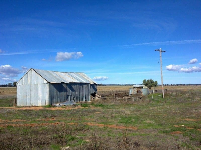 1 Wirrinya Road, FORBES NSW 2871, Forbes - Thumbnail 7