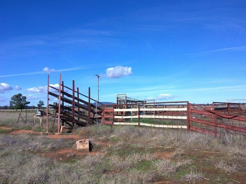 1 Wirrinya Road, FORBES NSW 2871, Forbes - Thumbnail 6