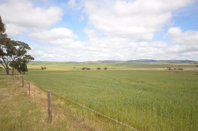 Various Secs Koo-owie Gap Road, EMU DOWNS SA 5381, Emu Downs - Thumbnail 7