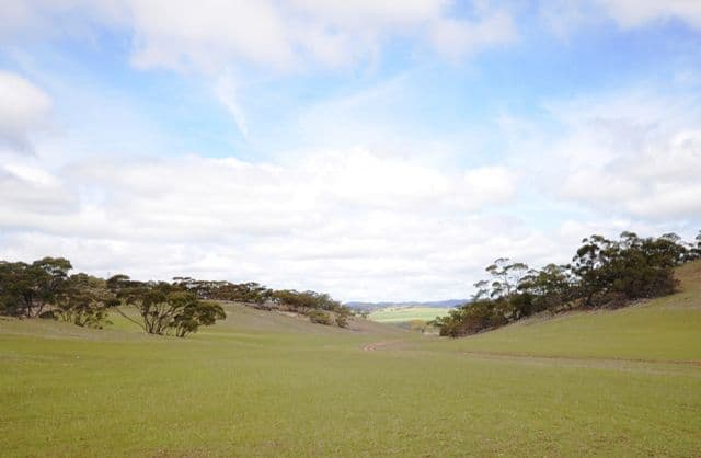 Various Secs Koo-owie Gap Road, EMU DOWNS SA 5381, Emu Downs - Thumbnail 5