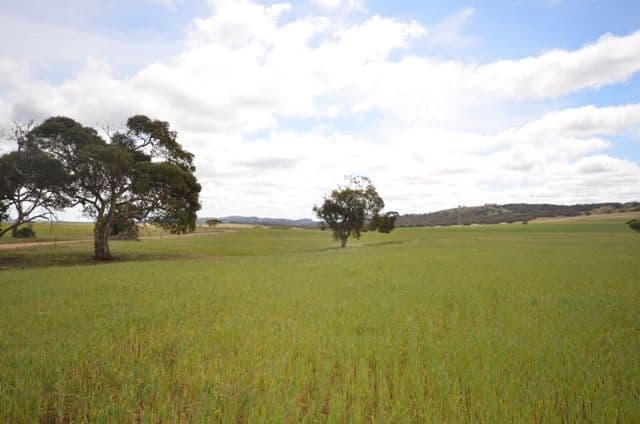 Various Secs Koo-owie Gap Road, EMU DOWNS SA 5381, Emu Downs - Image 1