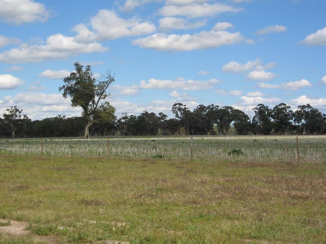 3 Kingston Road, MUNDULLA SA 5270, Mundulla - Thumbnail 5