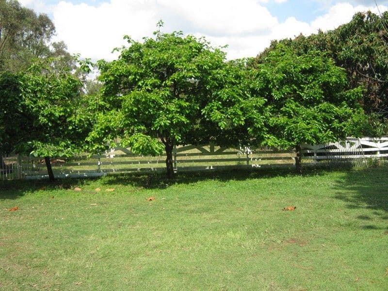 139 Woogaroo Street, ELLEN GROVE QLD 4078, Ellen Grove - Image 1