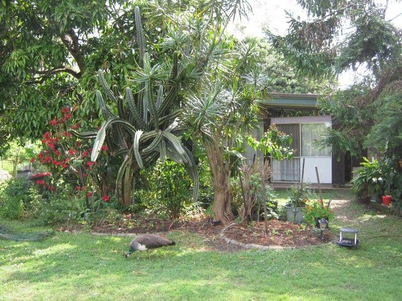 139 Woogaroo Street, ELLEN GROVE QLD 4078, Ellen Grove - Thumbnail 2