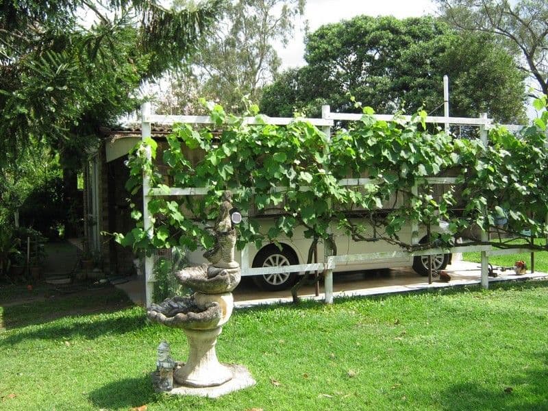139 Woogaroo Street, ELLEN GROVE QLD 4078, Ellen Grove - Thumbnail 4