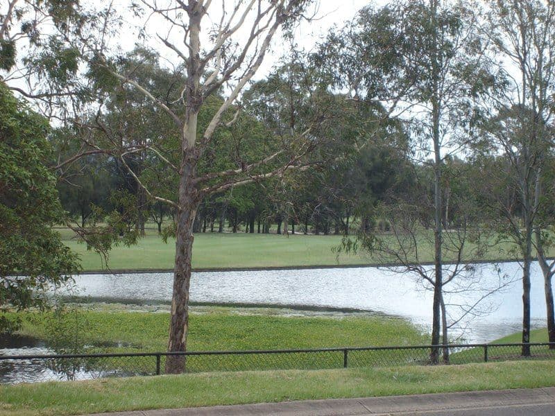 8 Hillsborough Close, ROBINA QLD 4226, Robina - Thumbnail 4